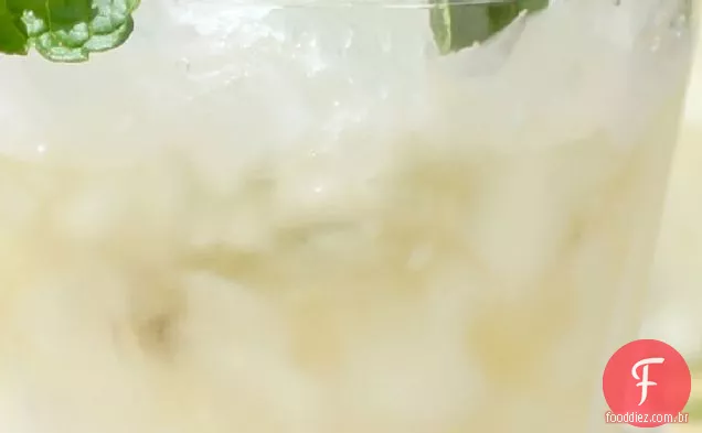 Menta Tradicional Julep