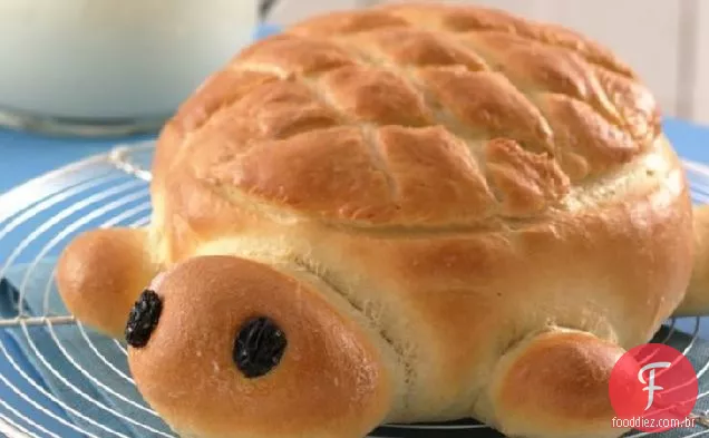 Pão De Tartaruga