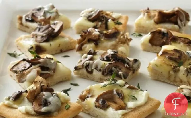 Pizza De Aperitivo De Cogumelo Selvagem