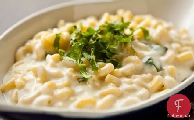 Mozzarella macarrão com queijo
