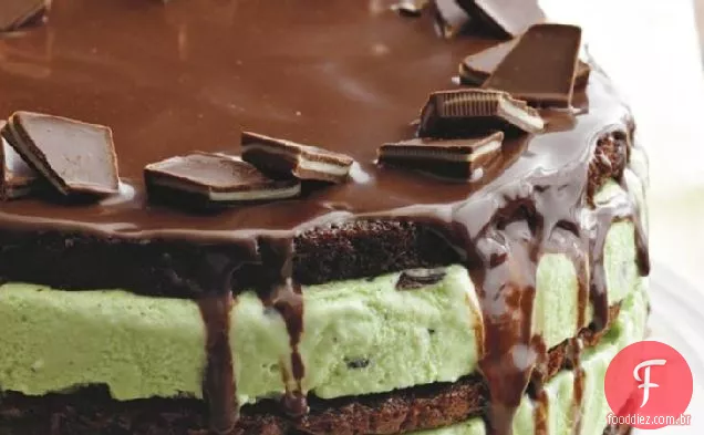 Fudge Mint Ice Cream Torte