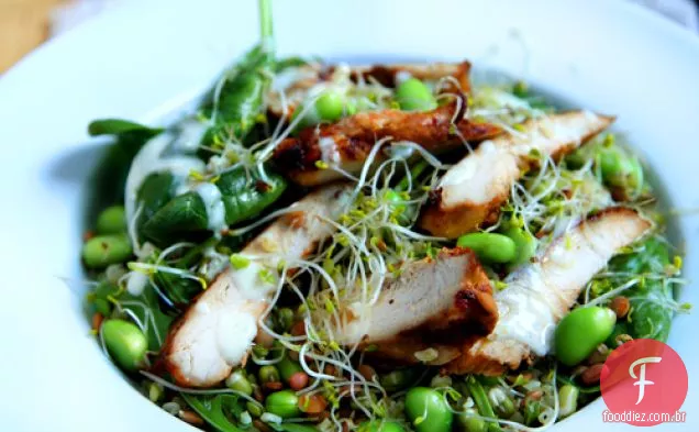 Salada De Superalimento De Frango Rocket Power