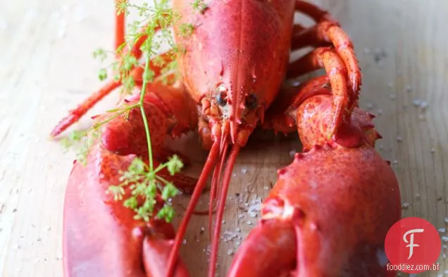 Salada De Lagosta Com Estragão