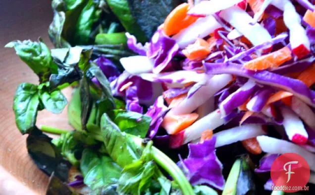Salada Slaw Roxa Com Molho De Vinagre De Bordo