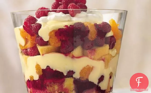 Fácil Laranja-Cranberry Sobremesa
