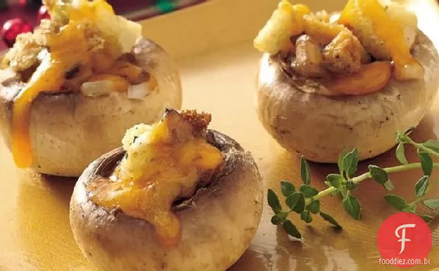 Cheddar-Cogumelos Recheados