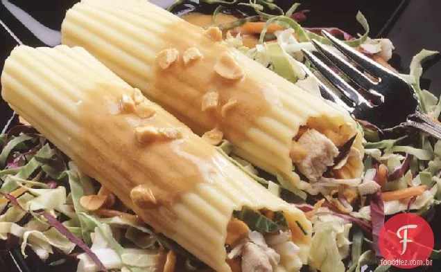 Asiática Frango Manicotti Salada