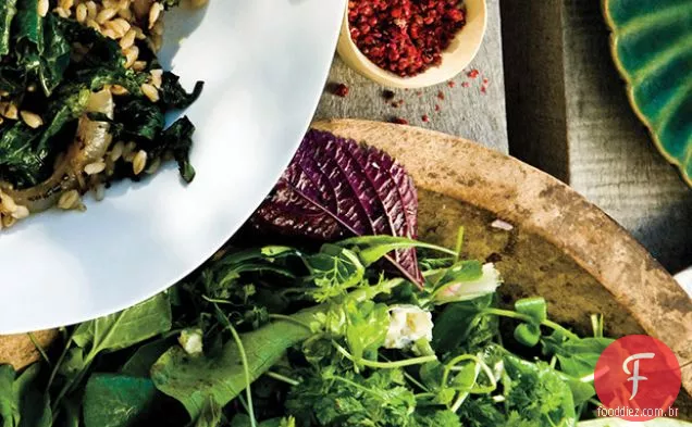 Salada Sem Folhas De Alface