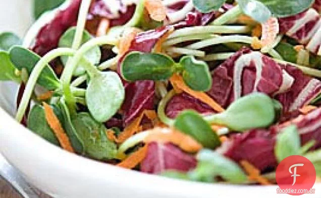 Salada De Cenoura E Girassol