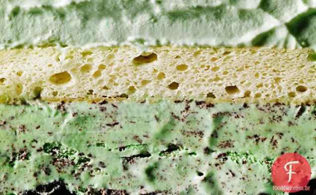 Mint Chip Ice Cream Cake