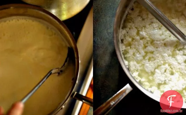 Saag Paneer: Espinafre Com Queijo Indiano