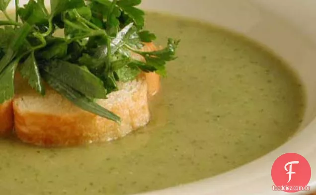Sopa cremosa de abobrinha com ervas misturadas