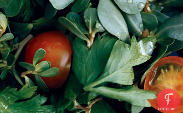 Salada de beldroegas e salsa