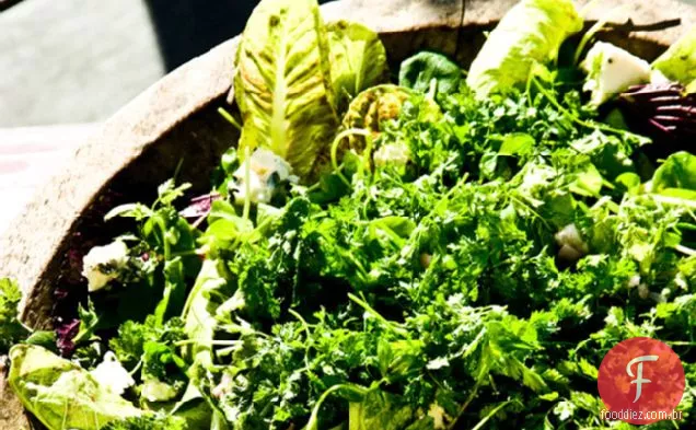 Salada Frondosa sem alface