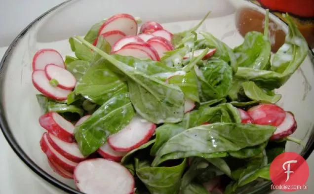 Cozinhe o livro: salada de rabanete