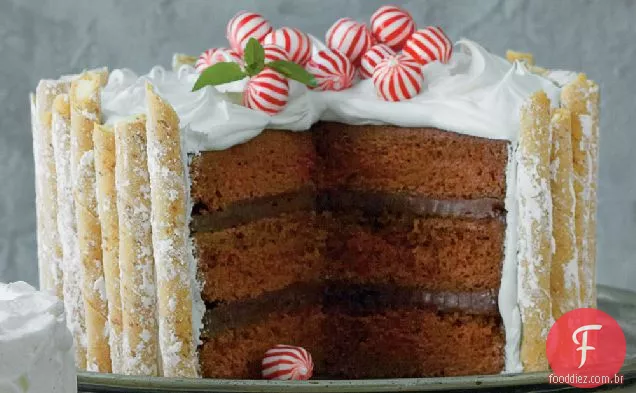 Peppermint-Bolo De Chocolate Quente