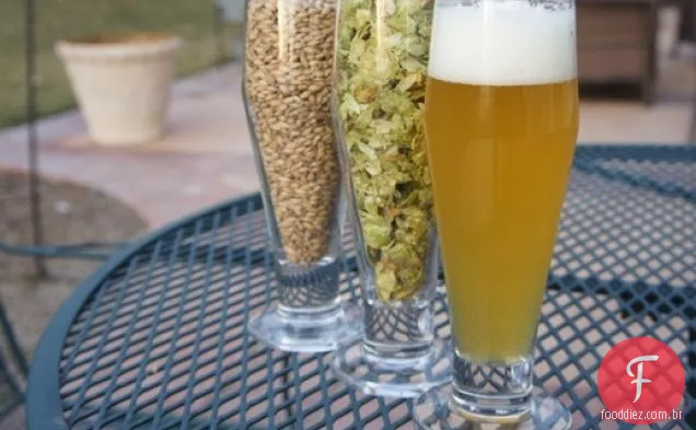 Single-malte, single-Hop IPA (para começar Homebrewers)