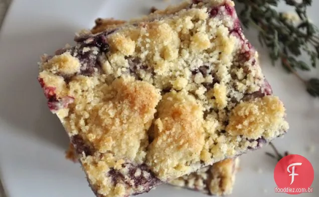 Concord Grape-Thyme Bars