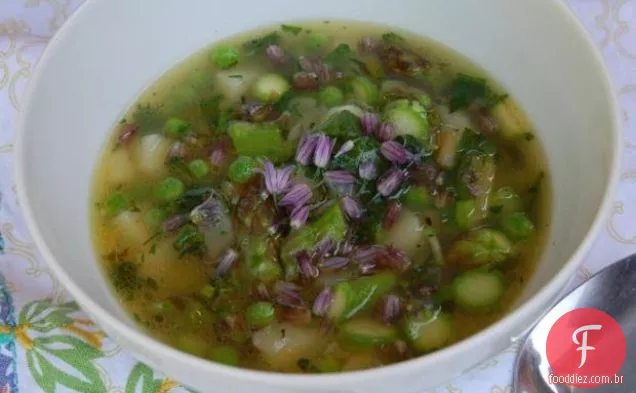 Sopa Jardim Primavera