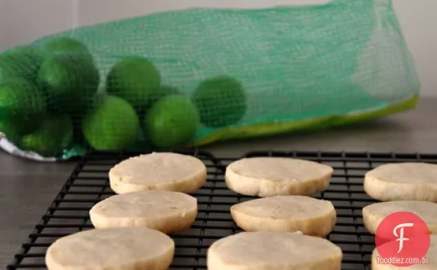 Key Lime Coins