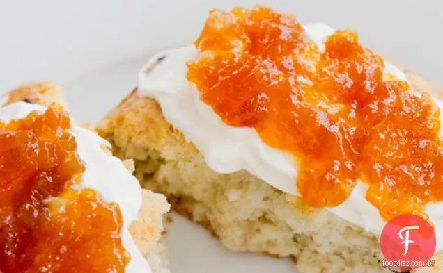 Bellini Jam