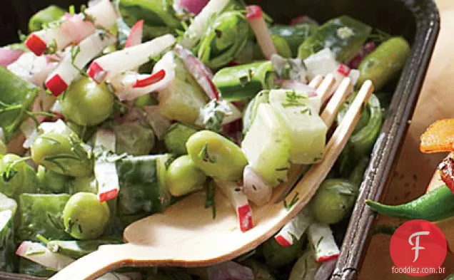 Salada de pressão de pepino e açúcar