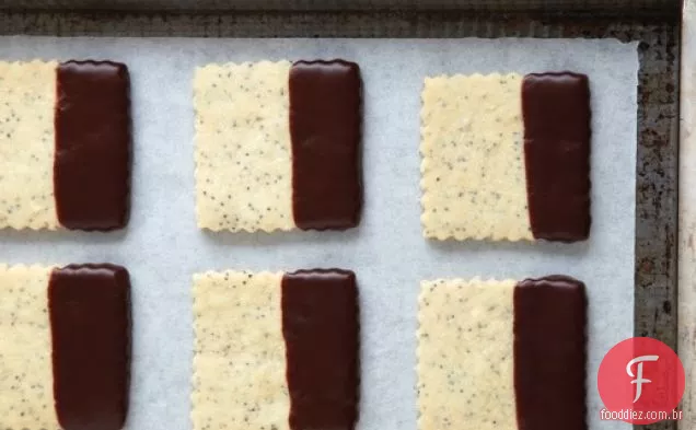 Quadrados de sementes de papoula com pontas de Chocolate