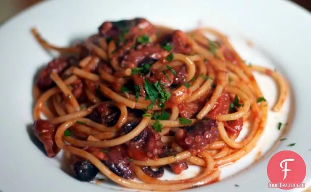 Jantar esta noite: Bucatini com molho picante de polvo bebê Rita