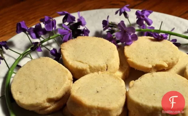 Sables De Fava De Baunilha