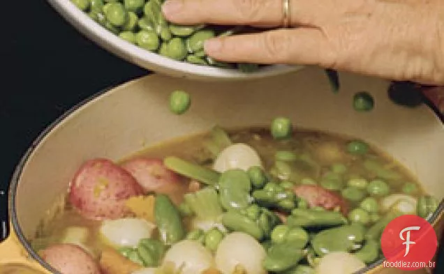 Primavera Vegetal Navarin