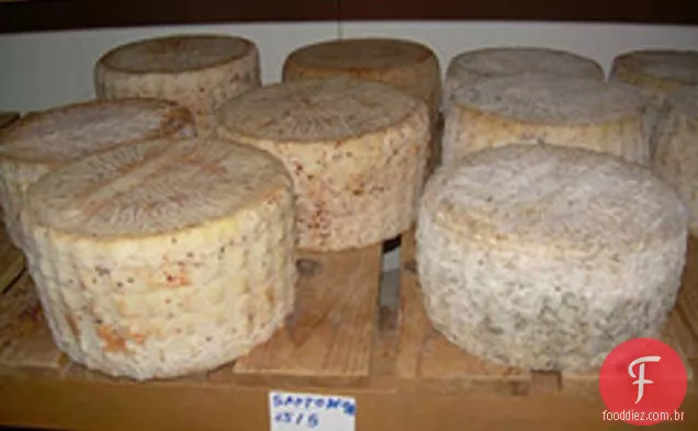 Cozinhe o livro: creme Pecorino com molho de tomate