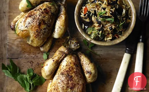 Poussin libanês com beringela temperada pilaf