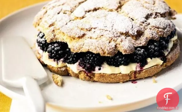 Blackberry & clotted creme shortcake