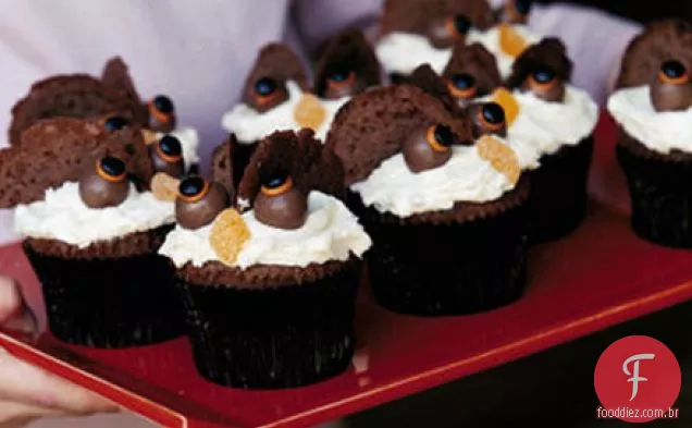 Hooting Halloween corujas