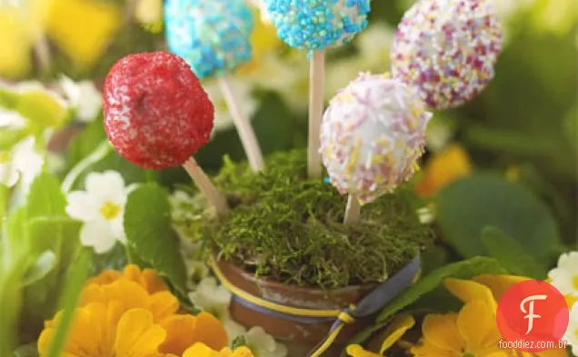Choc-Egg lollies