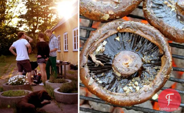Cogumelos Mágicos Portobello Grelhados