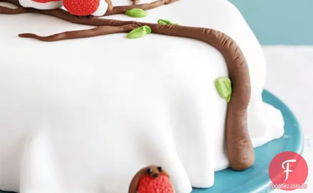 Rocky robin cake