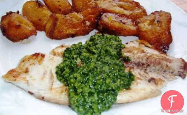 TILÁPIA COM COENTRO PESTO (TILÁPIA A LA PLANCHA CON PESTO DE COENTRO)