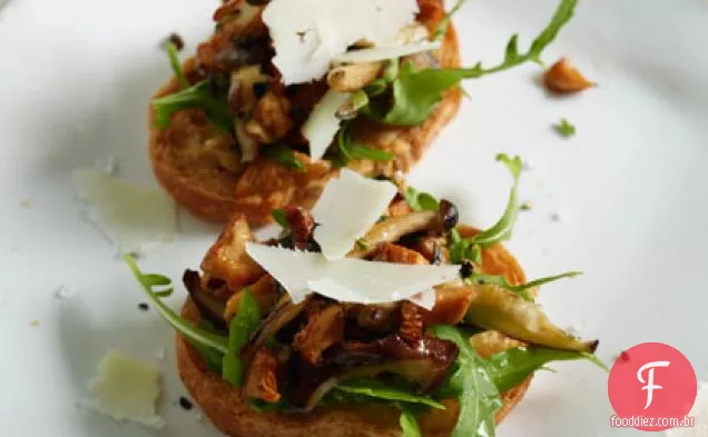 Cogumelo Selvagem Bruschetta