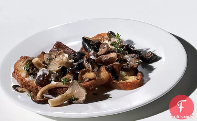 Cogumelo Selvagem Crostini
