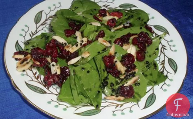Salada De Espinafre Cranberry