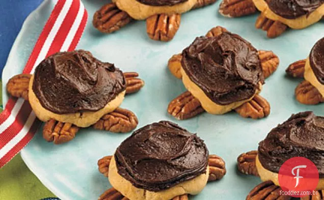 Biscoitos De Tartaruga Fosca