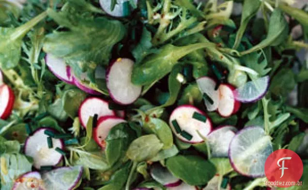 Salada de Mâche, Frisée e rabanete com vinagrete de mostarda