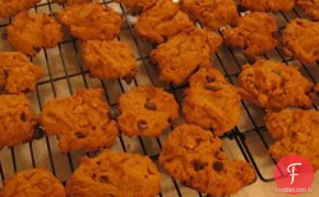 Biscoitos De Abóbora Com Chocolate Sem Ovo