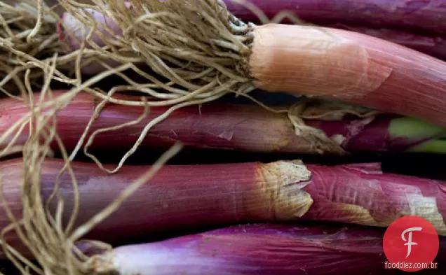 Farro E Receita De Abóbora Assada