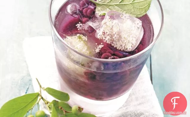 Refrigerante De Mirtilo Selvagem