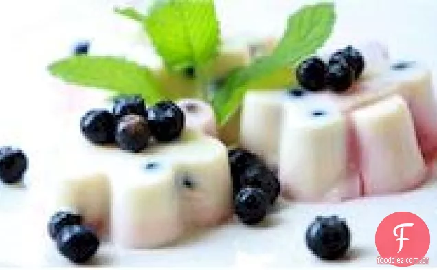 Leve e cremoso congelado Limão-Limão Mini Moldes De Frutas