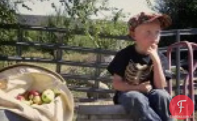 Qn apple picking festa e Piquenique