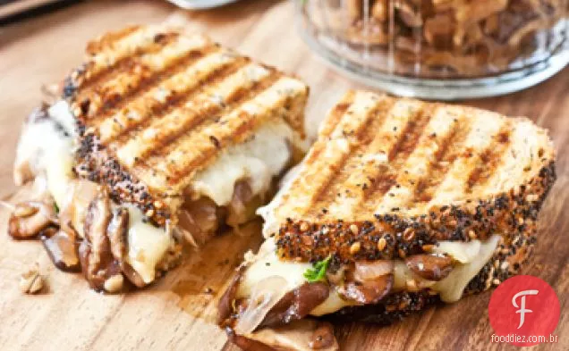 Cogumelo Selvagem Derreter Panini