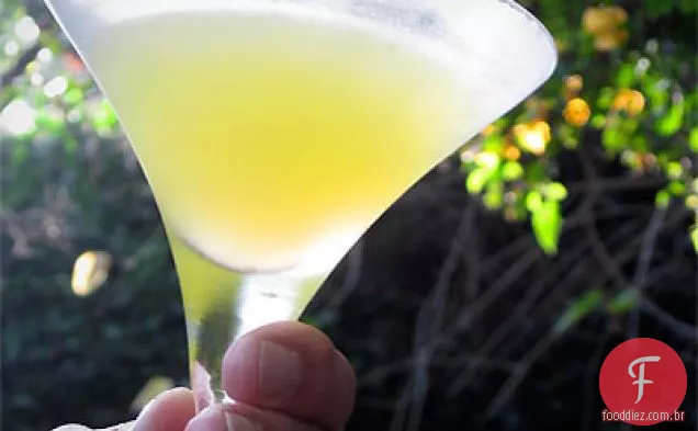 Sevilha Cocktail